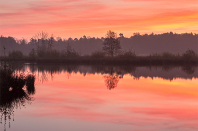 Vorige week een mooie zonsopgang mee kunnen maken. De lucht kreeg heel even een mooie zachte rode kleur. De nevel was een welkome bonus.