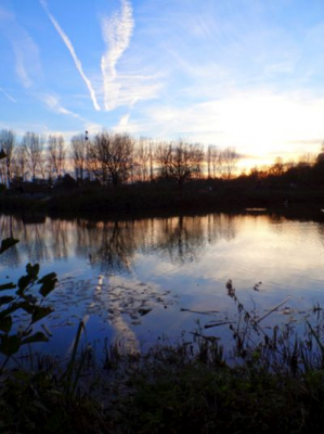 in een mooi recreatiepark. deze foto is genomen bij het verlaten van het park. een mooie afsluiter van de dag.