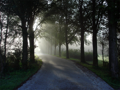 <i class='fa fa-user'></i> Johan op den Dries | Mistig weer tijdens zonsopgang  <i class='fa fa-eye'> 418</i>   <i class='fa fa-comment-o'> 3</i>