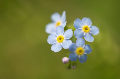 Op een zonnige dag langs de Hunze nabij Spijkerboor.