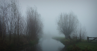 foto uit de hand gemaakt het was mistig en niet veel licht.
iso op 400 gezet.
