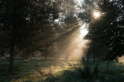 's Morgens in de herfst even op pad gegaan om de zonsopgang te fotograferen. Deze vind ik namelijk het mooist in de herfst.