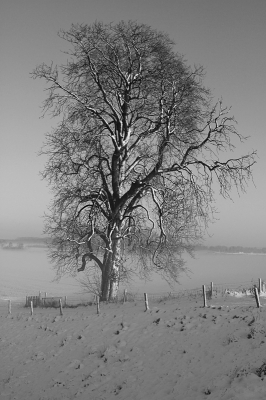 In de ochtend lag er nog redelijk wat sneeuw voor winteropnamen.