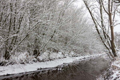 Vroeg op stap gestaan in de eerste sneeuw die ik dit jaar zag. Helaas erg grijs en ik heb daardoor geprobeerd mezelf aan te passen aan de (ook leuke) zwartwit omstandigheden.