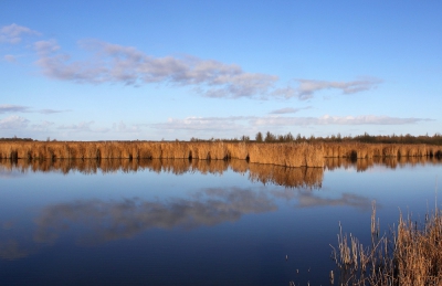 Een rustige winterdag in het Lauwersmeer.
De spiegeling van wolken en riet vind ik hier mooi, het heldere bauw ook.