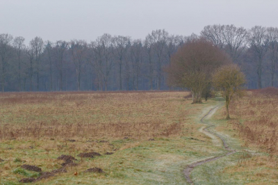 Foto is uit de hand gemaakt met de Canon 70-200 en is nabewerkt met Lightroom