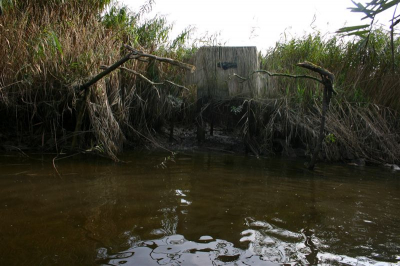 Hier nog eentje met wat meer omgeving erbij,de schuilhut staat op paalen omdat ik fotografeer in een gebied waar eb en vloed een verschil kan hebben van meer dan 1 meter.
Gr Arian