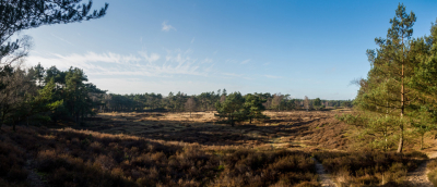 Panorama Groot Heidestein vlakbij Driebergen / Zeist. Prachtige NS wandeling