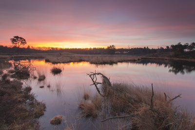 De foto is 's morgens vroeg, een half uur voor zonsopkomst gemaakt!