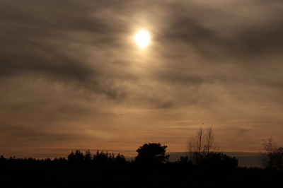 Zonsondergang Wekeromse Zand. Uit de hand genomen. Een extra detail: de klapekster rechts in de boom.