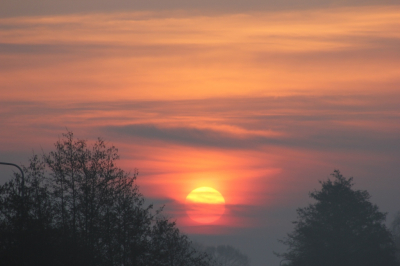 de mist hing nog laag, toen de zon mooi orange opkwam