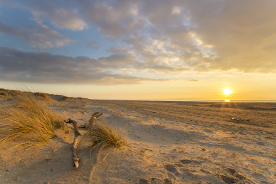 We waren tijdens een schitterende zonsondergang op het strand van Oostvoorne, toen ons ook viel op de duinen. Deze werden schitterend verlicht door de lage zon. Een mooie compositie werd gevonden met de dode tak!