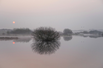 Vroeg op want de vooruitzichten waren gunstig: koude nacht, gevolgd door windstille ochtend. Het klopte allemaal prachtig en dan is het genieten in het Bargerveen.