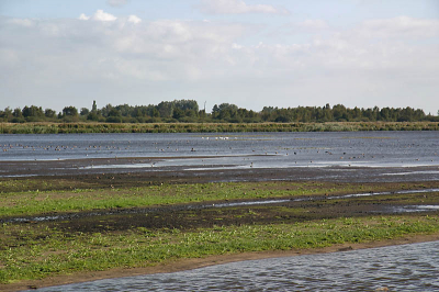 <i class='fa fa-user'></i> Frans Nottrot | Jan Durks Polder  <i class='fa fa-eye'> 305</i>   <i class='fa fa-comment-o'> 0</i>