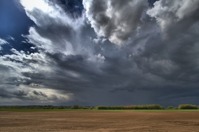 Vlak voor de regen losbarstte deze foto gemaakt. Het zand wat van het veld afwaaide had bijna een zandstralend effect en was niet zo fijn om in je gezicht te krijgen. Daarna regende het zo hard dat je bijna niets meer zag.