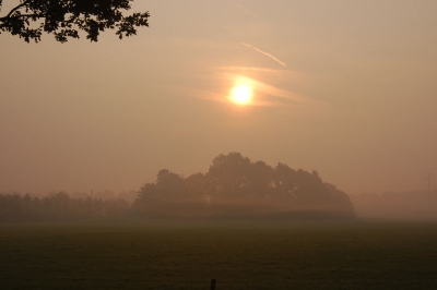 <i class='fa fa-user'></i> Bert Veerman | Mist in de vroege ochtend  <i class='fa fa-eye'> 149</i>   <i class='fa fa-comment-o'> 3</i>