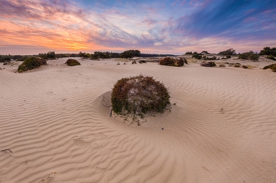 Na een stormachtige dag, 's avonds de zandvlakte opgezocht. In de hoop mooie structuren in het zand aan te treffen, werd ik ook nog verrast met een mooie wolkenlucht.