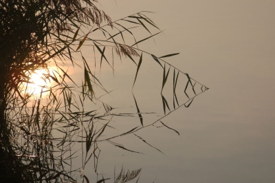 <i class='fa fa-user'></i> Bert Veerman | Spiegeling  <i class='fa fa-eye'> 145</i>   <i class='fa fa-comment-o'> 0</i>