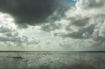 <i class='fa fa-user'></i> Tim Oord | Het Wad  <i class='fa fa-eye'> 129</i>   <i class='fa fa-comment-o'> 2</i>