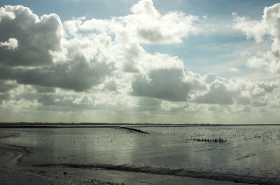 <i class='fa fa-user'></i> Tim Oord | Het Wad  <i class='fa fa-eye'> 129</i>   <i class='fa fa-comment-o'> 0</i>
