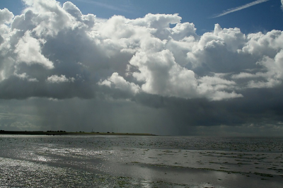 <i class='fa fa-user'></i> ferrystreng | Regenbuien  <i class='fa fa-eye'> 197</i>   <i class='fa fa-comment-o'> 1</i>