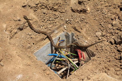 Terwijl ik de toerist aan het uithangen was bij de tempels van Agrigento viel mijn oog op iets veel interessanters. Een paar seconden was deze 'electrische slang' vlakbij in beeld, net genoeg om er deze foto van te nemen. Niet genoeg voor een door-de-knien-close-up helaas maar thuis was ik er toch wel erg blij mee. Hij glipte onder de deksel van dit putje dus ik hoop dat de klusjesman en de slang ongedeerd zijn gebleven.