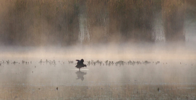 's ochtends vroeg bij zonsopgang. Mooi, rustig weer.