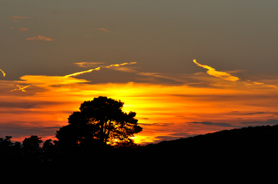 Er waren meerdere fotografen aanwezig die hoopten op een mooie zonsondergang, die kwam er niet echt. Dan maar met een tele toch wat kleur en sfeer proberen te pakken.