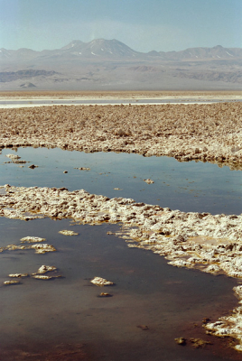 <i class='fa fa-user'></i> Passion4Photography | Salar de Atacama  <i class='fa fa-eye'> 188</i>   <i class='fa fa-comment-o'> 1</i>