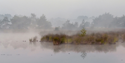 s,morgens vroeg in dit mooie gebied geweest, had alleen mijn macrolens bij,maar ik kon geen bedauwde insecten vinden.
panoramauitsnede gemaakt