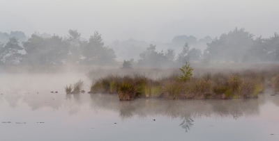 s,morgens vroeg in dit mooie gebied geweest, had alleen mijn macrolens bij,maar ik kon geen bedauwde insecten vinden.
panoramauitsnede gemaakt