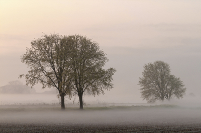 nog een foto die ik s,morgens vroeg bij ons in de polder heb gemaakt, vanaf statief genomen ,de zon kleurde de lucht erg mooi