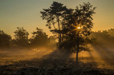 Vanmorgen vroeg op en naar de Brunssumerheide, t was er prachtig.
Gr. Huub