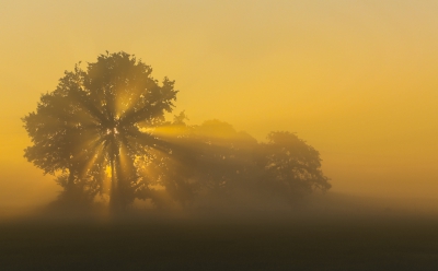 Vanochtend in de korte tijd die ik had voordat ik met mijn werk moest beginnen even snel een paar foto's kunnen maken van de zonsopgang.