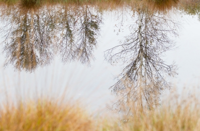 Het was compleet windstil. I.c.m een melkwitte lucht perfecte omstandigheden voor mooie weerspiegelingen.