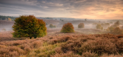 Herfst op de Posbank.
HDR van 5 opnames, samengevoegd met HDR efex pro