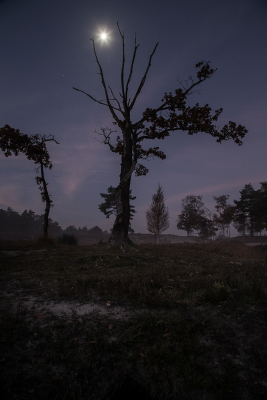 Ik was vanmorgen te vroeg bij de Roodebeek voor de zonsopgang. Toen maar van de nood een deugd gemaakt en de maan gefotografeerd. Wat met de schuifjes in Lightroom geschoven met dit als resultaat. 
Gr.Huub