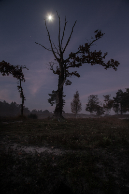 Ik was vanmorgen te vroeg bij de Roodebeek voor de zonsopgang. Toen maar van de nood een deugd gemaakt en de maan gefotografeerd. Wat met de schuifjes in Lightroom geschoven met dit als resultaat. 
Gr.Huub