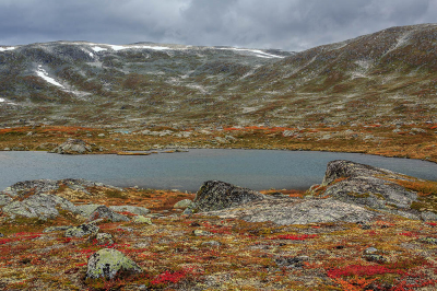 De Strynefjellsveien is een oude onverharde weg in Noorwegen die de plaatsen Videseter en Grotli met elkaar verbindt. De weg voert over een ruige hoogvlakte die vooral in de maand september als de herfst het landschap kleurt, tal van motieven voor de natuurfotograaf biedt.