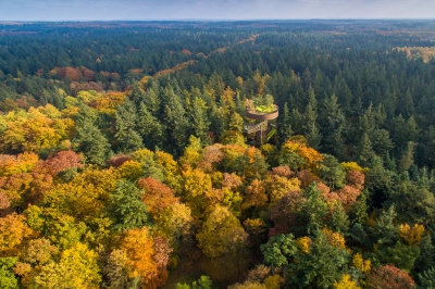 Nog een upload van vorige week, hopelijk deze keer met een iets betere bewerking.  De uitkijktoren is de bostoren van landgoed Schovenhorst, met bomen op de toren.