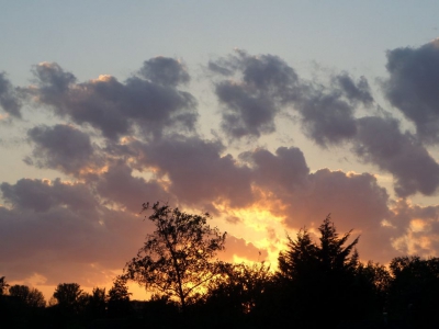Vanuit m'n slaapkamerraam heb ik elke dag uitzicht op de zonsondergang. Natuurlijk houd ik mijn camera bij de hand en heb dan ook mooie foto's kunnen maken.