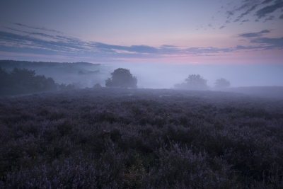 Serie voor HDR. Gemaakt op de Posbank met 16-35mm op 20mm. Met Nikon D800e.