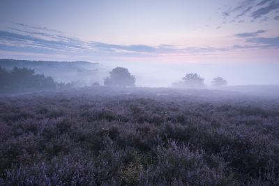 Serie voor HDR. Gemaakt op de Posbank met 16-35mm op 20mm. Met Nikon D800e.