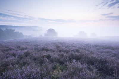 Serie voor HDR. Gemaakt op de Posbank met 16-35mm op 20mm. Met Nikon D800e.