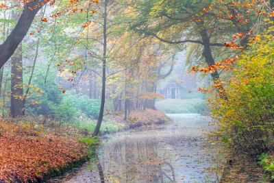 Op een licht mistige zondagmiddag tijdens wandeling op landgoed Elswout. Door de diepte, omlijsting van herfstkleuren en de zweem van mist, krijgt het geheel iets mysterieus over zich