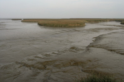 <i class='fa fa-user'></i> Hendrik van Kampen | Dollard  <i class='fa fa-eye'> 195</i>   <i class='fa fa-comment-o'> 7</i>