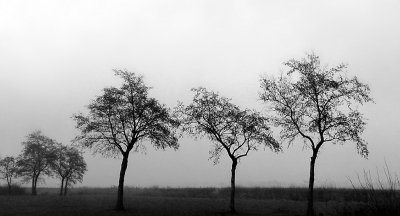 Het lijkt wel een zangtrio met achtergrondkoortje.
Ik mocht op de eerste rij zitten.