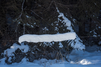 De sneeuw hangend aan de draad.
Door eerst regen en direct daarna sneeuw.