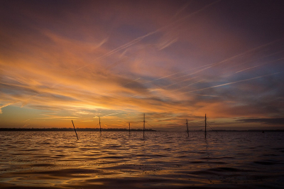 Einde van een vogeldagje, met een mooie zonsondergang was het alleen even zoeken naar een mooie voorgrond