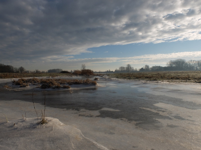 na een lange tijd waar in ik weinig tijd had voor fotografie vandaag maar weer eens op pad geweest in mijn geliefd natuurgebied de Groesplaat.